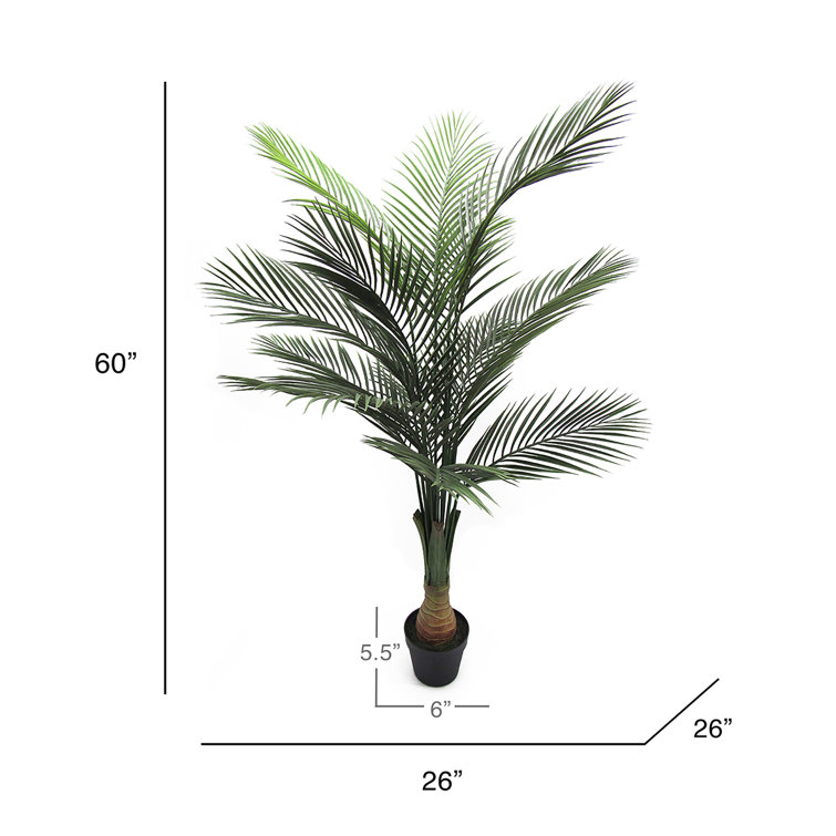 Bayou Breeze 60" Artificial Bottle Palm Tree in Pot Wayfair